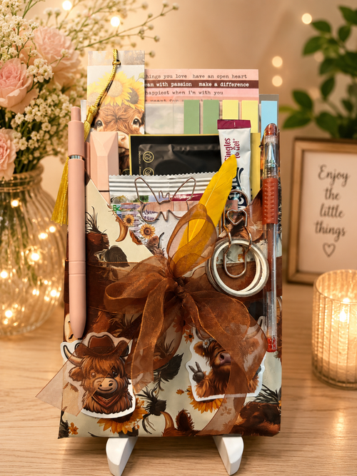 Cozy Loaded Bundle